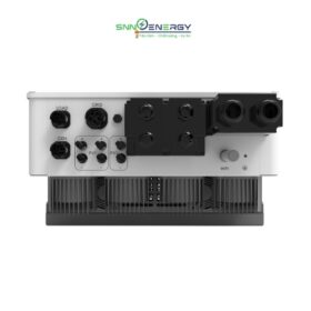 Biến tàn Chisage Ess hình 2