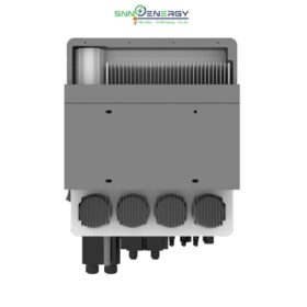 Biến tàn Chisage Ess hình 4