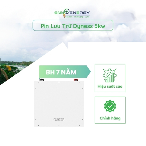Pin Lưu Trữ Dyness 5kw