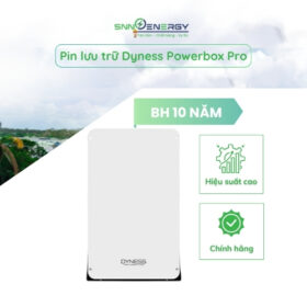 Pin lưu trữ Dyness Powerbox Pro