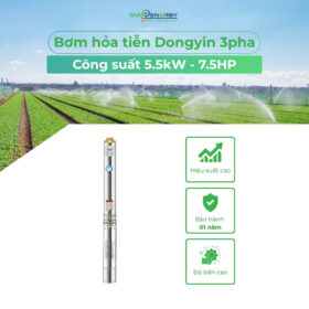 Bơm hỏa tiễn Dongyin 5.5kw